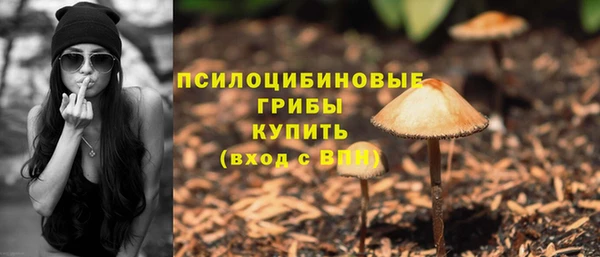 СК Балахна