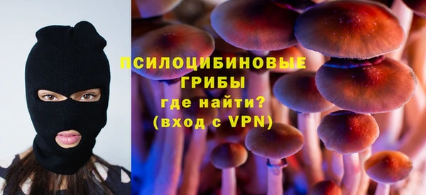 гидра Арсеньев