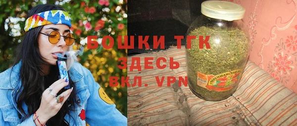 гидра Арсеньев