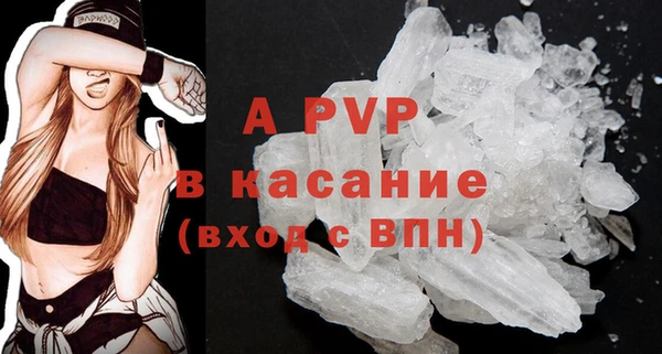 мяу мяу мука Баксан