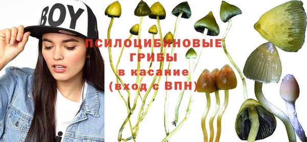 первитин Покачи