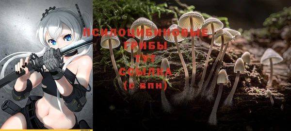 гидра Арсеньев